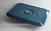 J06-6262-1 Контейнер 30*13*3.5 (20720-40-2-36)